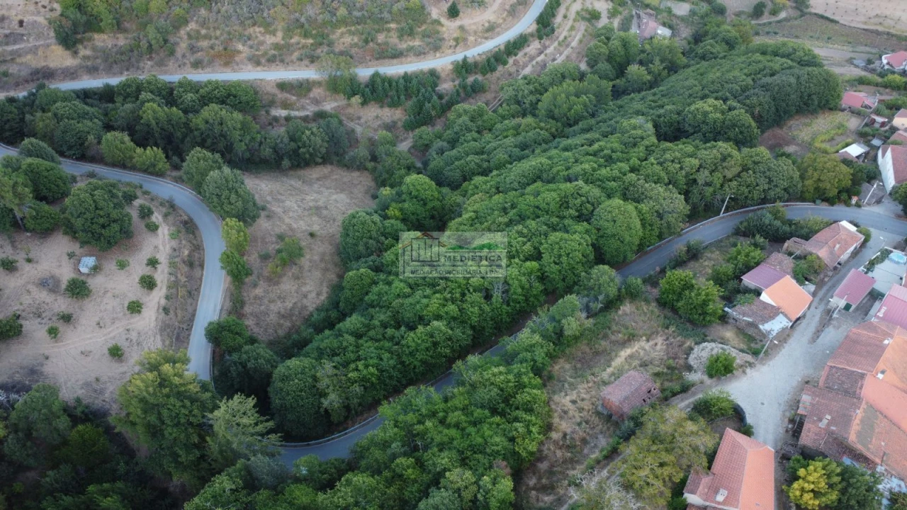 Quinta para Venda em Sambade Foto 13