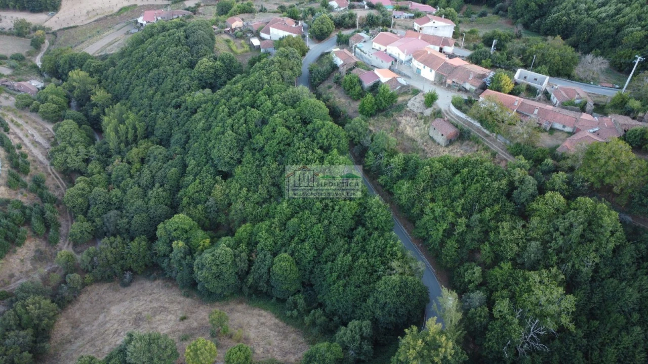 Quinta para Venda em Sambade Foto 14