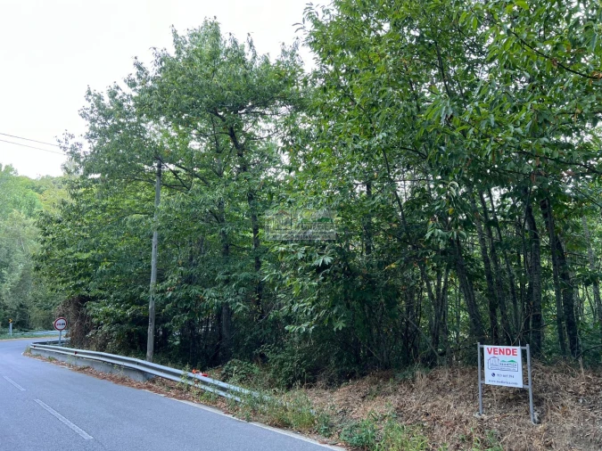 Quinta para Venda em Sambade Foto 2