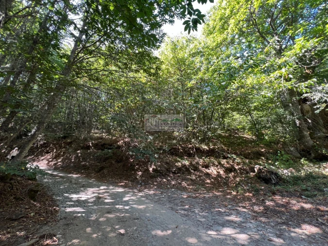 Quinta para Venda em Sambade Foto 5