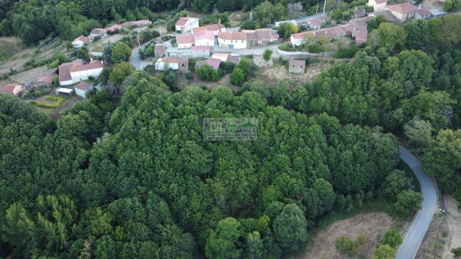 Quinta para Venda em Sambade Foto 11