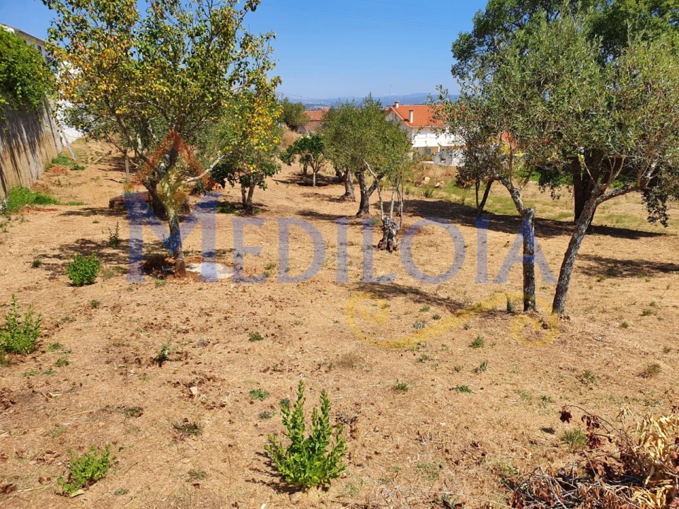 Terreno para Venda em Asseiceira Foto 3
