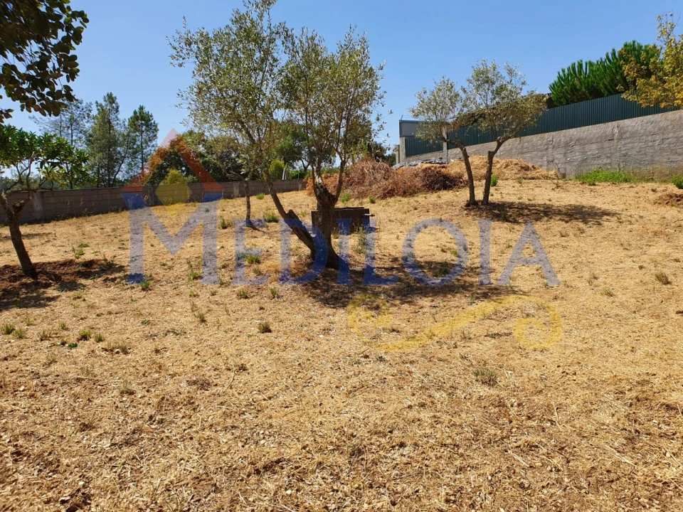 Terreno para Venda em Asseiceira Foto 4