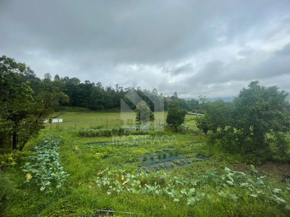 Quinta T4 para Venda em Souto Santa Maria, Souto São Salvador e Gondomar Foto 3