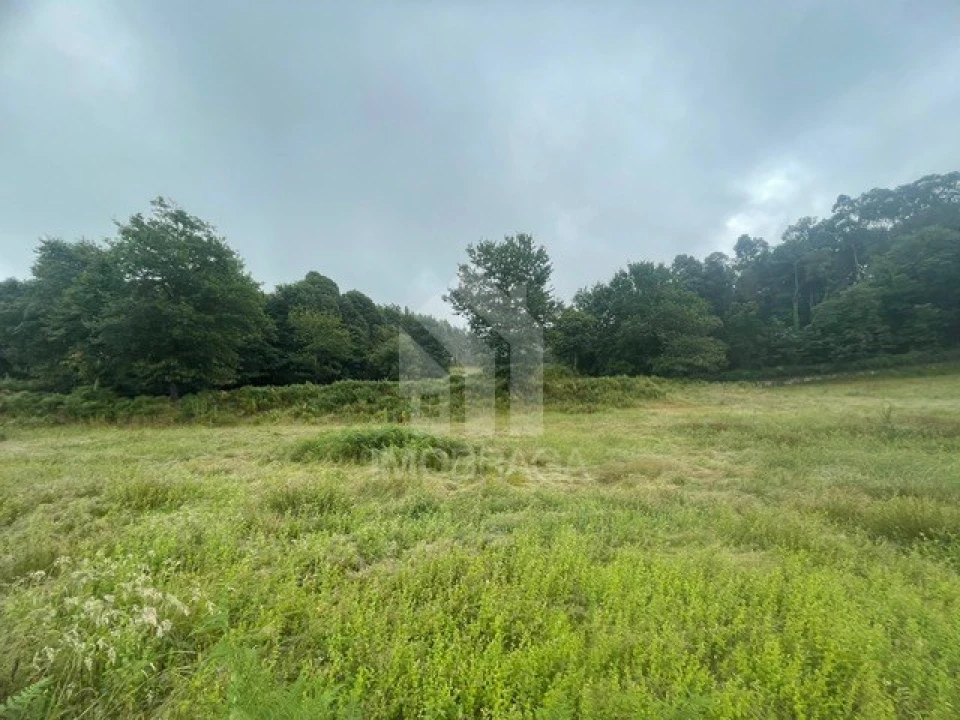 Quinta T4 para Venda em Souto Santa Maria, Souto São Salvador e Gondomar Foto 11