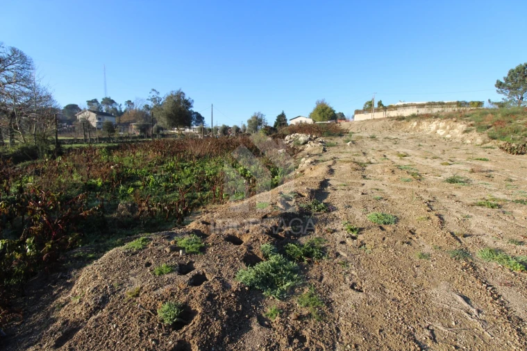 Terreno para Venda em Águas Santas e Moure Foto 9