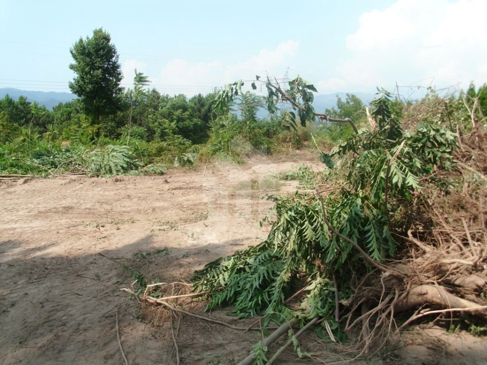 Terreno para Venda em Águas Santas e Moure Foto 5