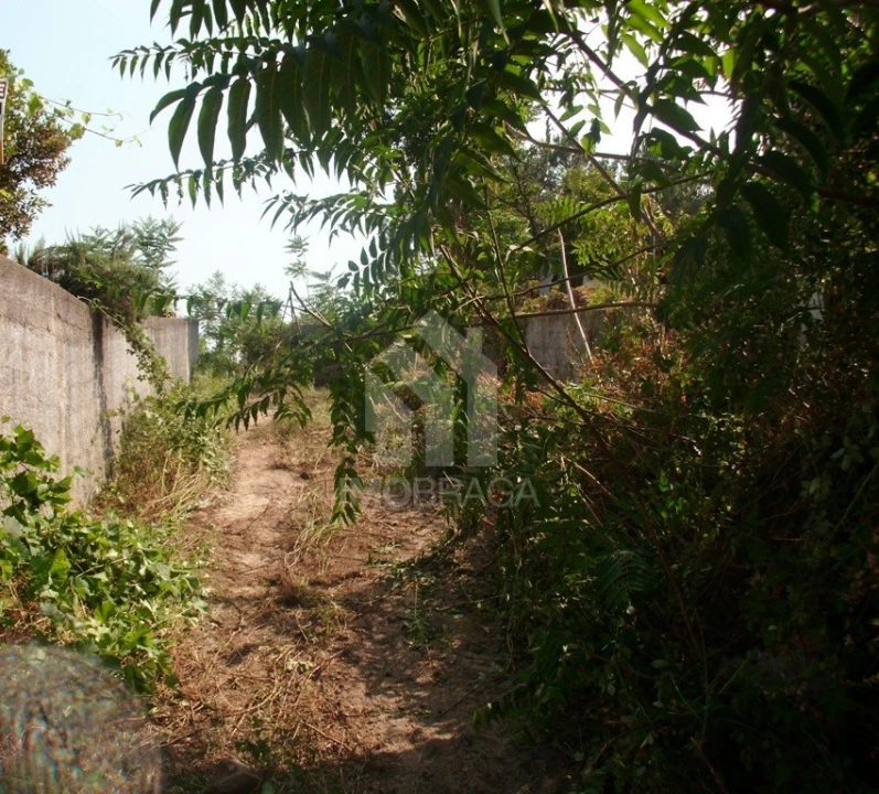 Terreno para Venda em Águas Santas e Moure Foto 9