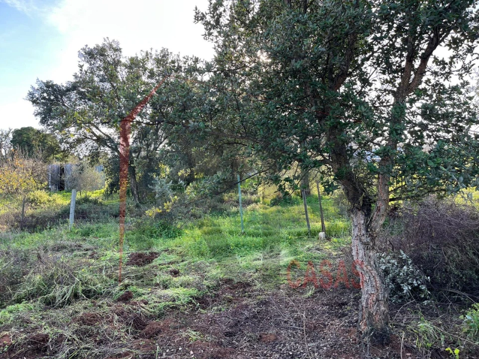 Terreno Agricola ou Rústico para Venda em Palmela Foto 3