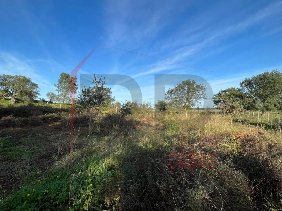 Terreno Agricola ou Rústico para Venda em Palmela Foto 6