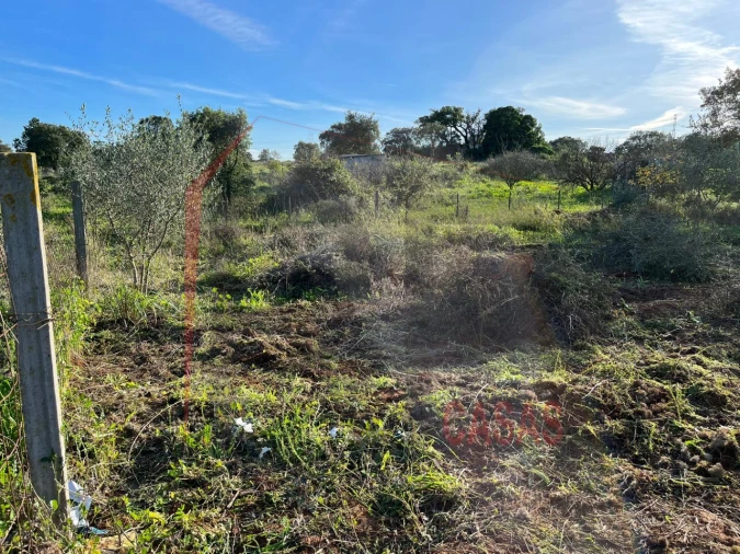 Terreno Agricola ou Rústico para Venda em Palmela