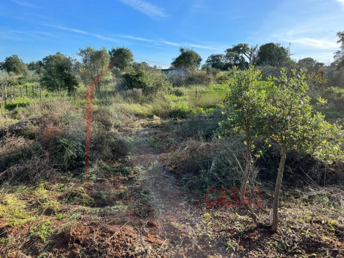 Terreno Agricola ou Rústico para Venda em Palmela Foto 2