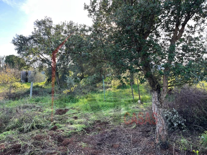 Terreno Agricola ou Rústico para Venda em Palmela Foto 3