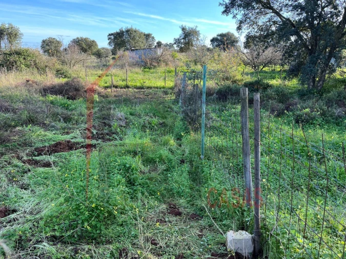Terreno Agricola ou Rústico para Venda em Palmela Foto 4