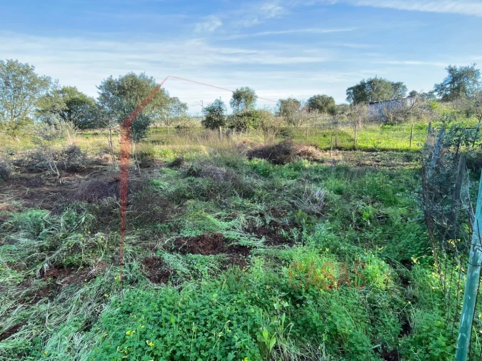 Terreno Agricola ou Rústico para Venda em Palmela Foto 5