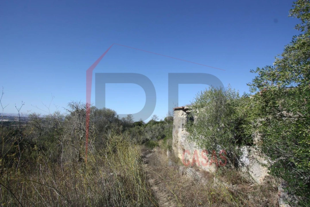 Quinta para Venda em Quinta do Anjo Foto 2