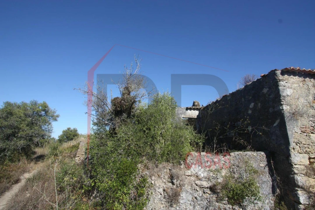 Quinta para Venda em Quinta do Anjo Foto 5