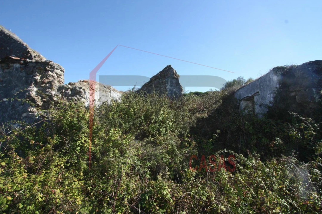 Quinta para Venda em Quinta do Anjo Foto 7