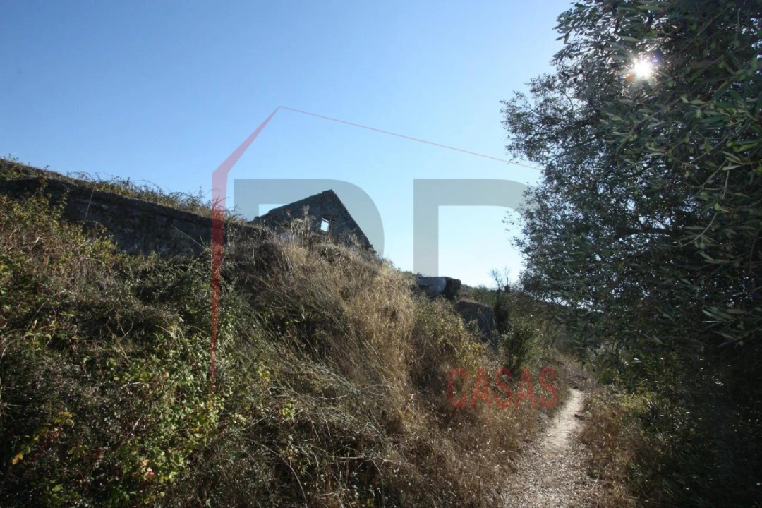 Quinta para Venda em Quinta do Anjo Foto 8