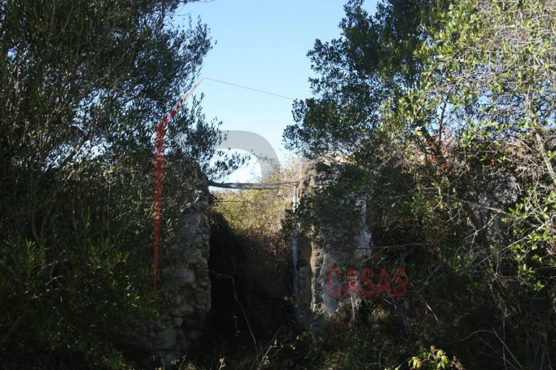 Quinta para Venda em Quinta do Anjo Foto 9