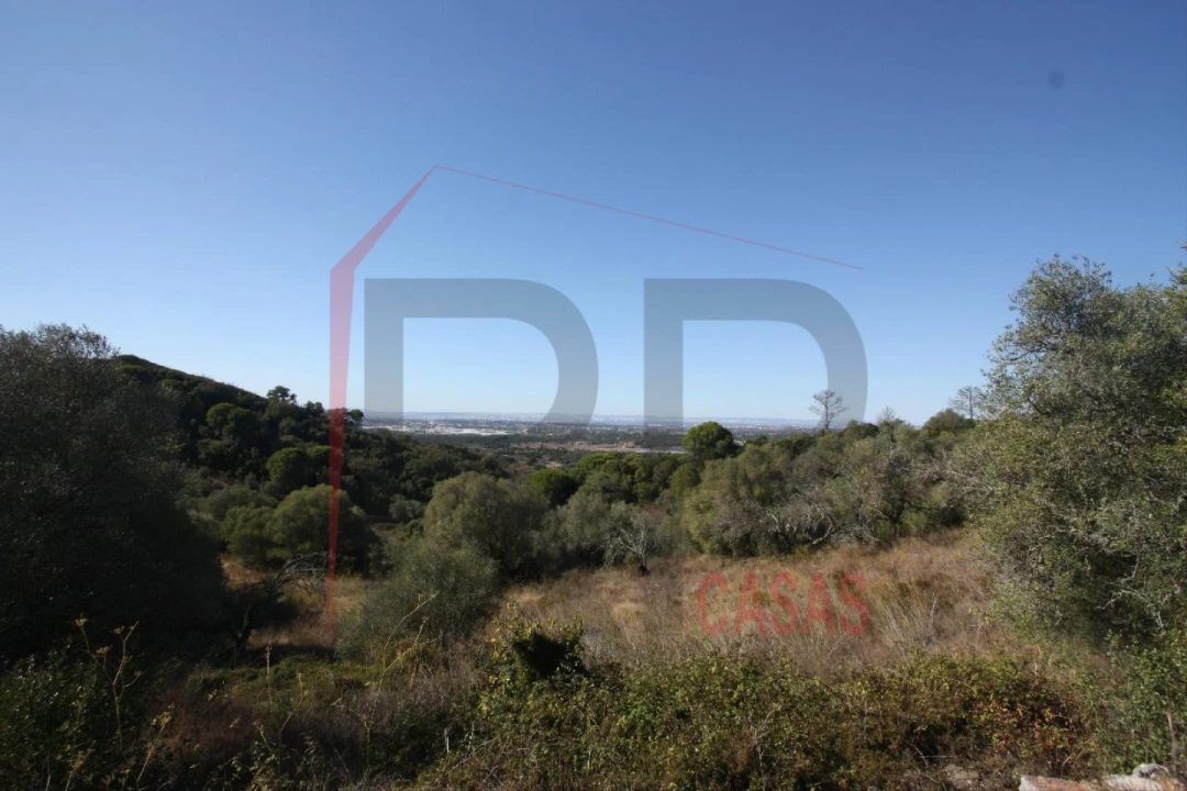 Quinta para Venda em Quinta do Anjo Foto 11