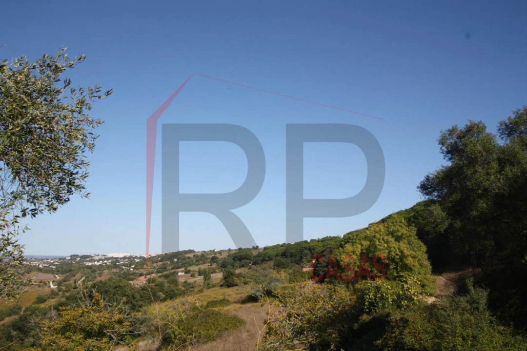 Quinta para Venda em Quinta do Anjo Foto 14