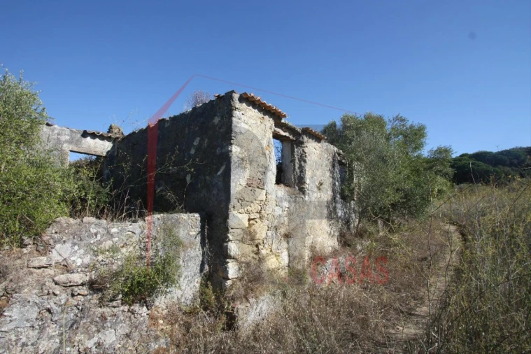 Quinta para Venda em Quinta do Anjo Foto 1
