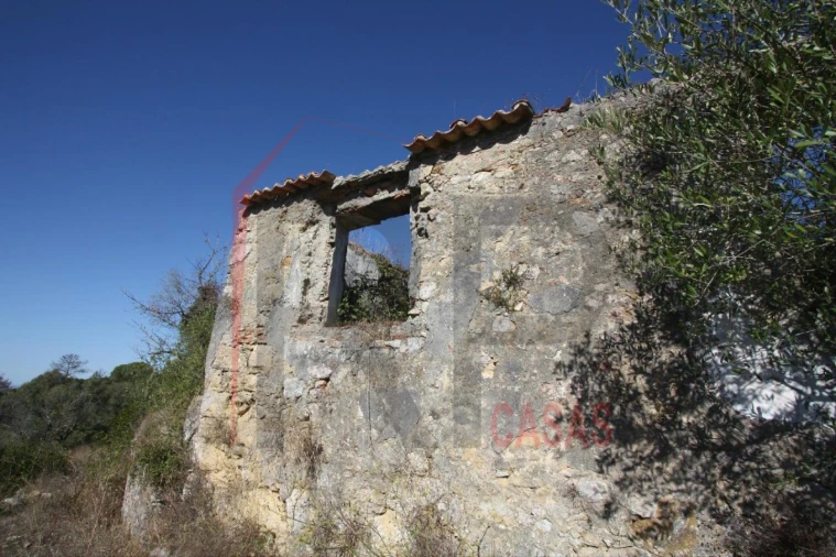 Quinta para Venda em Quinta do Anjo Foto 3