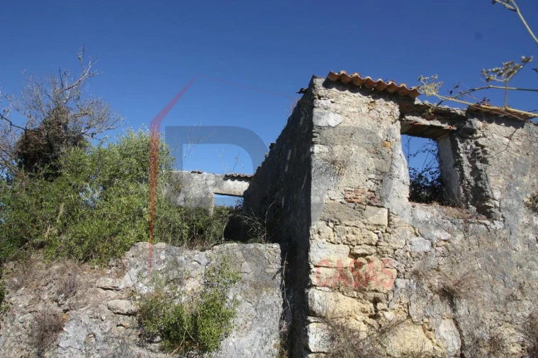 Quinta para Venda em Quinta do Anjo Foto 4