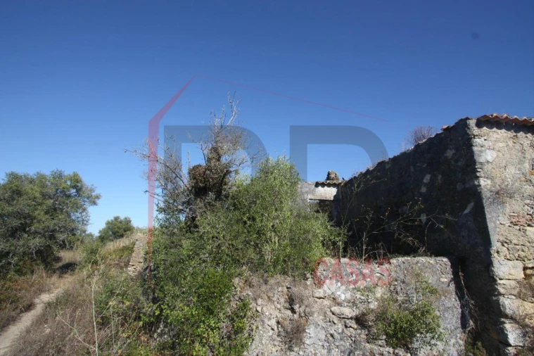 Quinta para Venda em Quinta do Anjo Foto 5