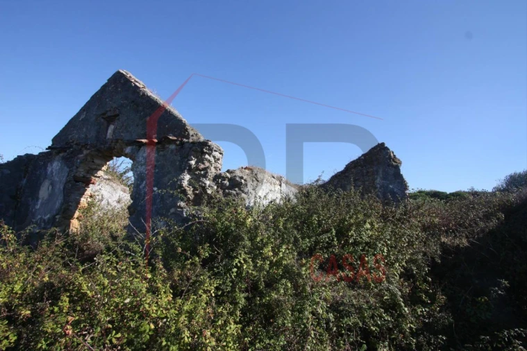 Quinta para Venda em Quinta do Anjo Foto 6