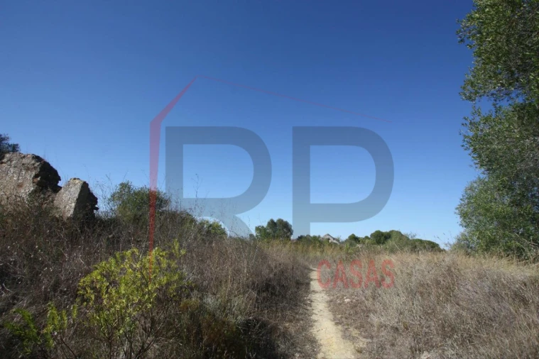 Quinta para Venda em Quinta do Anjo Foto 10