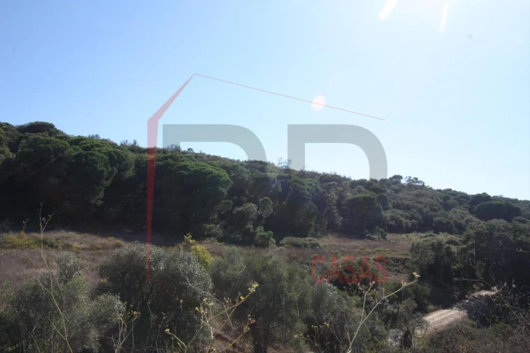 Quinta para Venda em Quinta do Anjo Foto 12