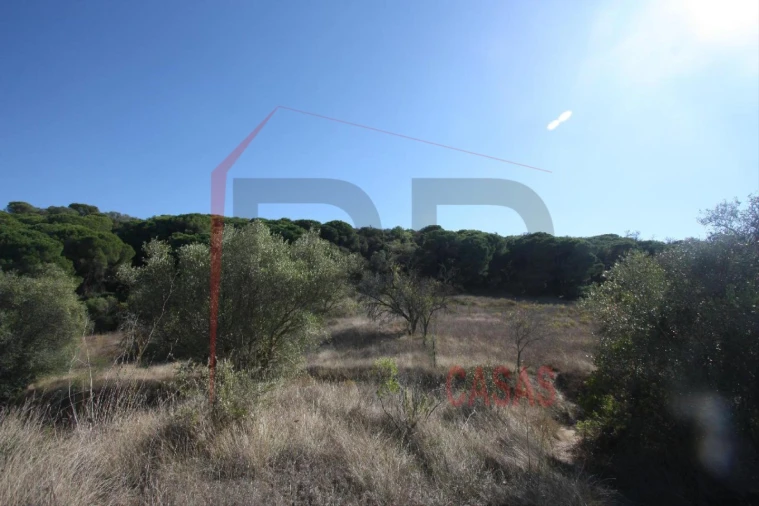 Quinta para Venda em Quinta do Anjo Foto 13