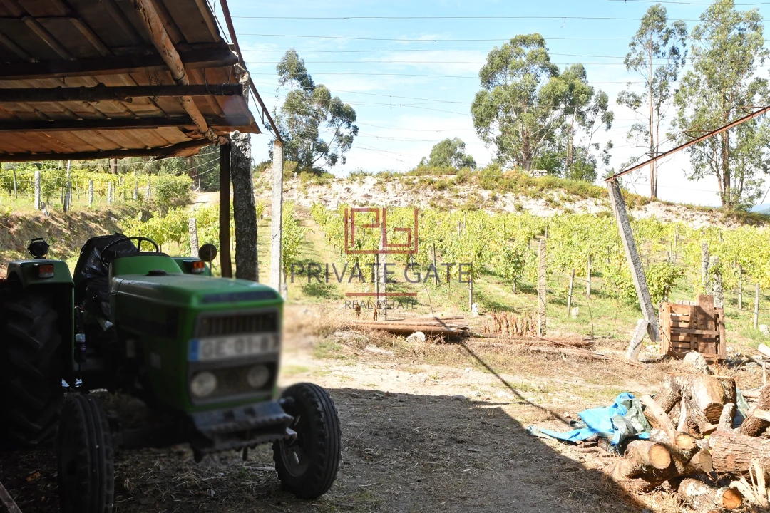 Quinta T0 para Venda em Gemieira Foto 44