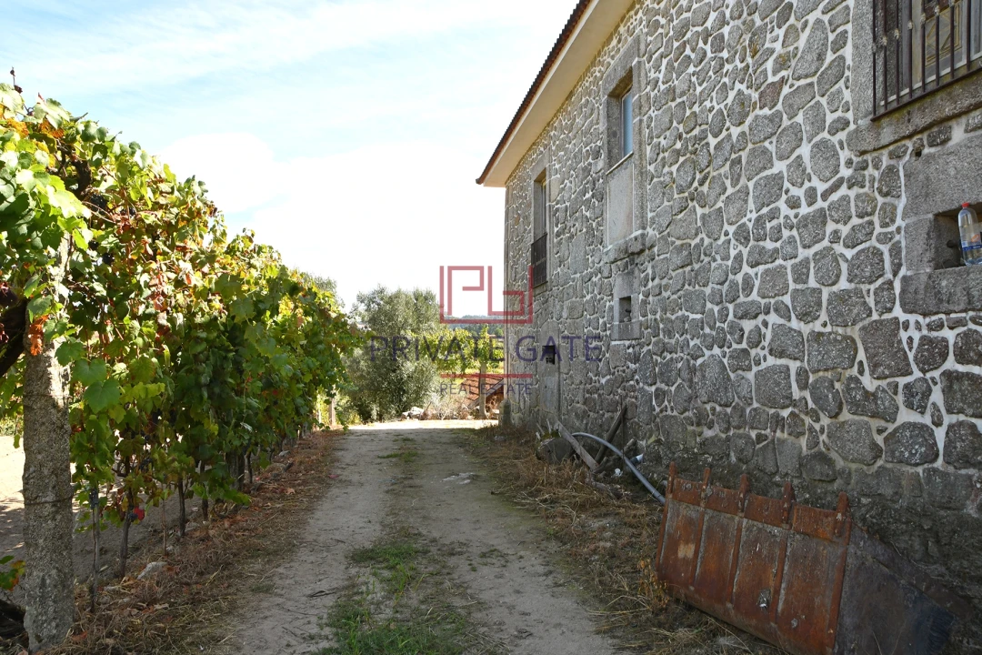 Quinta T0 para Venda em Gemieira Foto 10