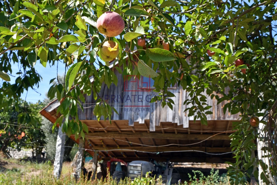 Quinta T0 para Venda em Gemieira Foto 14