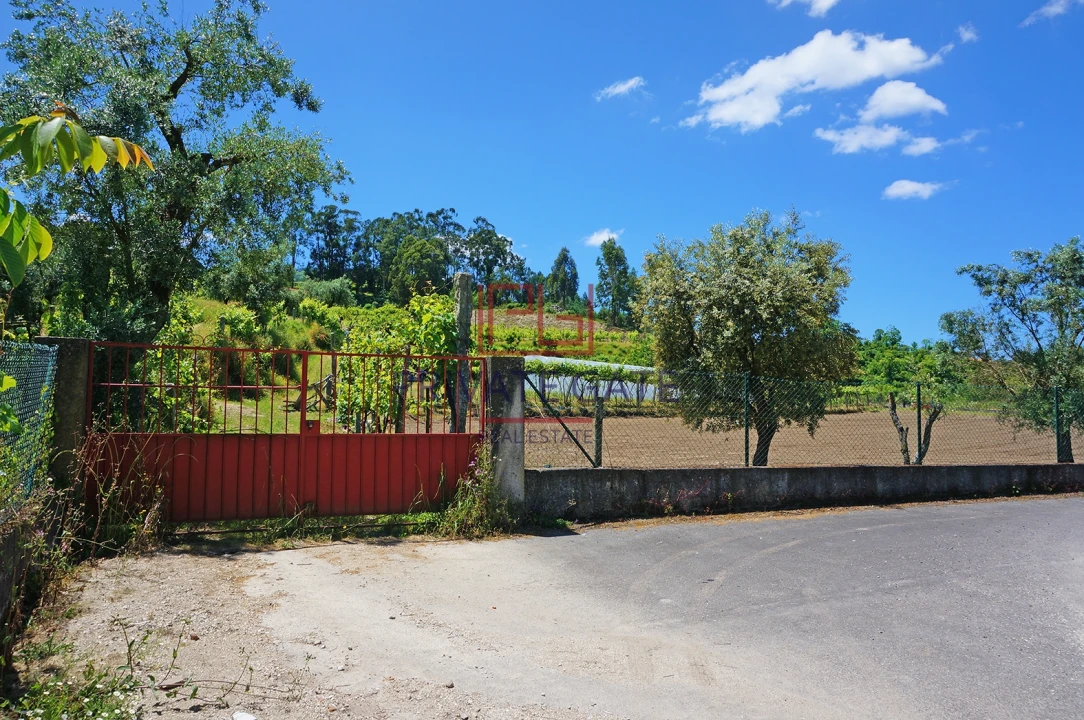 Quinta T0 para Venda em Gemieira Foto 17