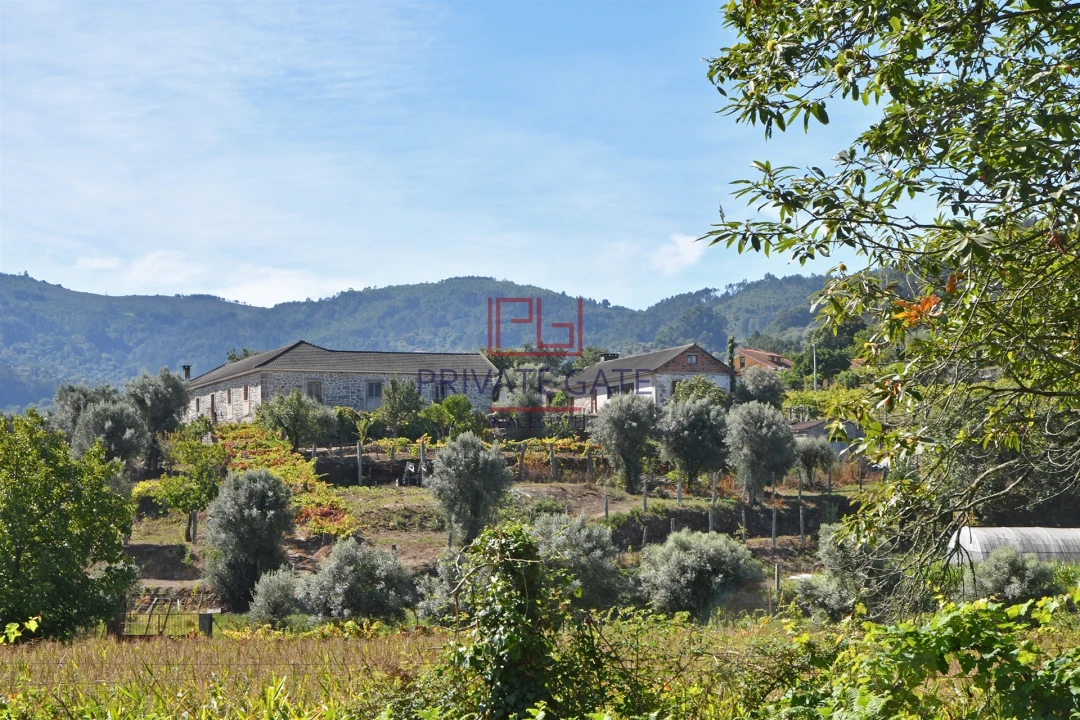 Quinta T0 para Venda em Gemieira Foto 4