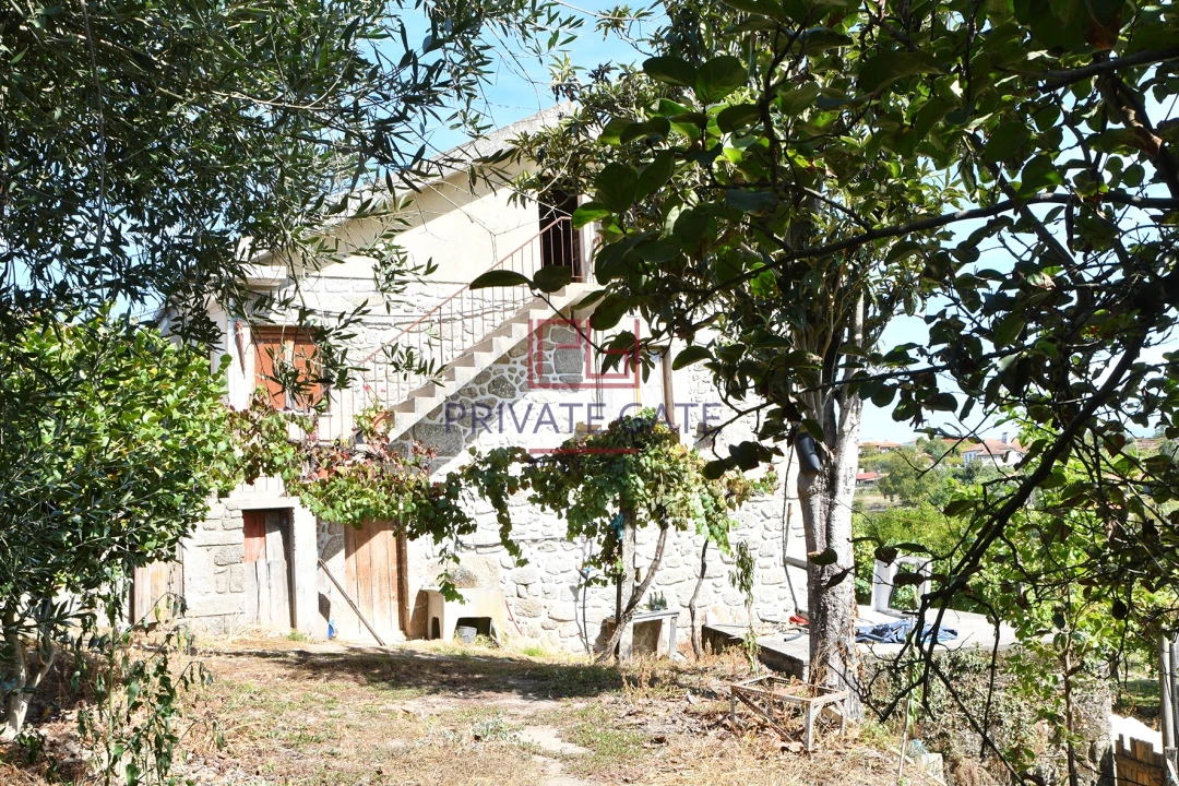 Quinta T0 para Venda em Gemieira Foto 13