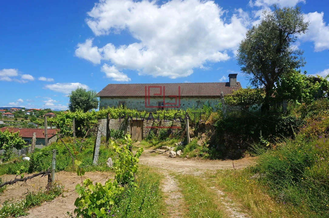 Quinta T0 para Venda em Gemieira Foto 24