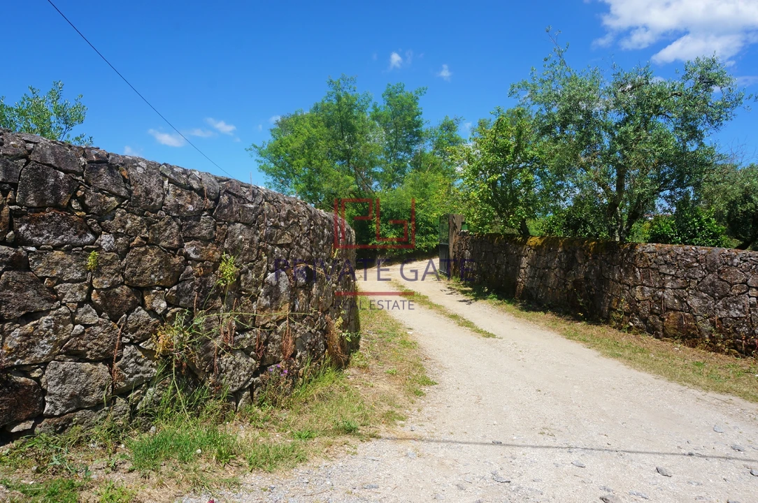 Quinta T0 para Venda em Gemieira Foto 37