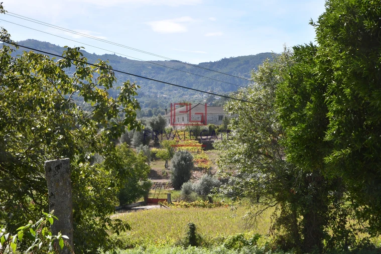 Quinta T0 para Venda em Gemieira Foto 3