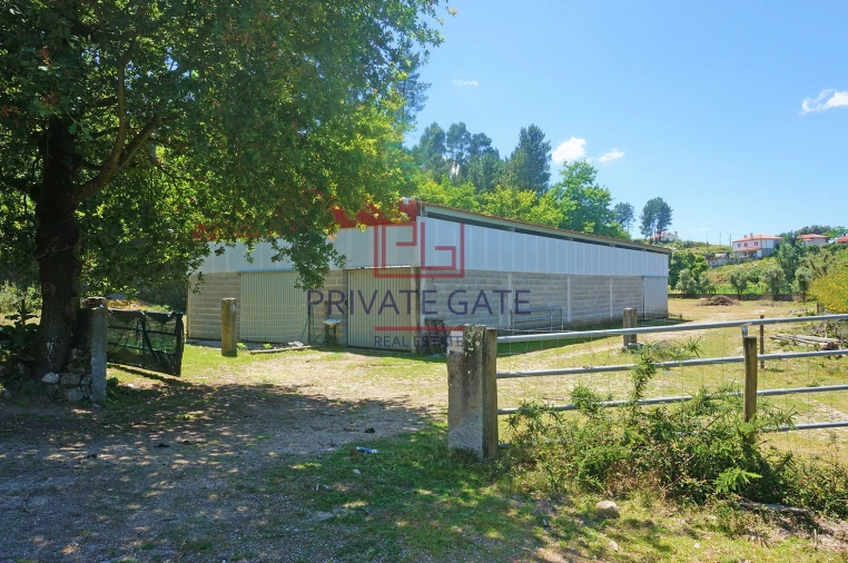 Quinta T0 para Venda em Gemieira Foto 33