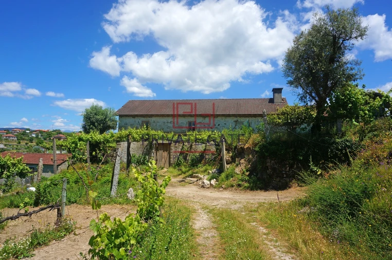 Quinta T0 para Venda em Gemieira Foto 24