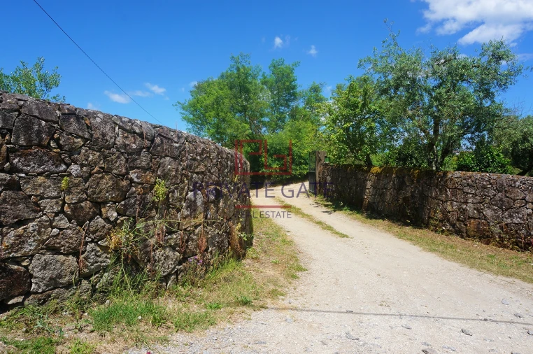 Quinta T0 para Venda em Gemieira Foto 37