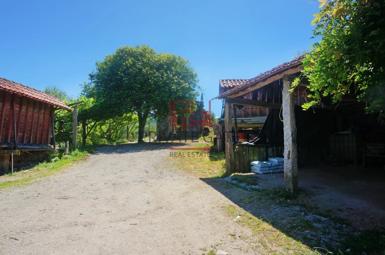 Quinta T0 para Venda em Gemieira Foto 35