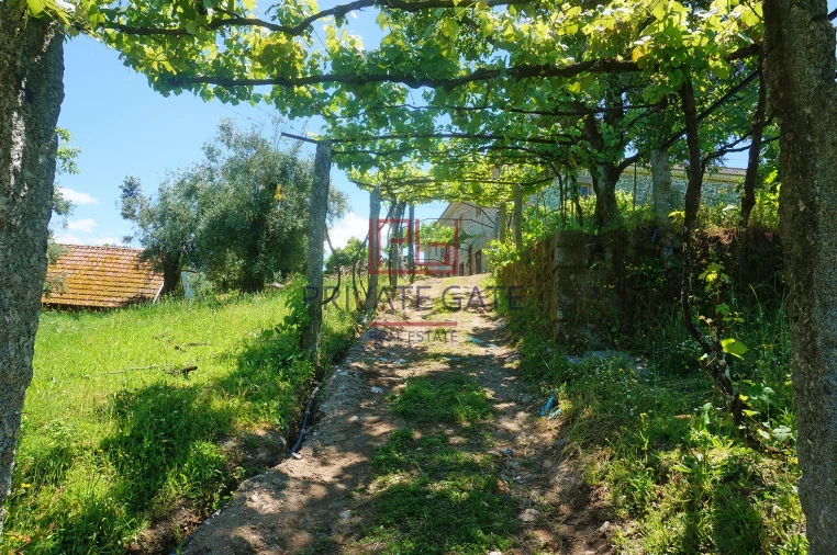 Quinta T0 para Venda em Gemieira Foto 22