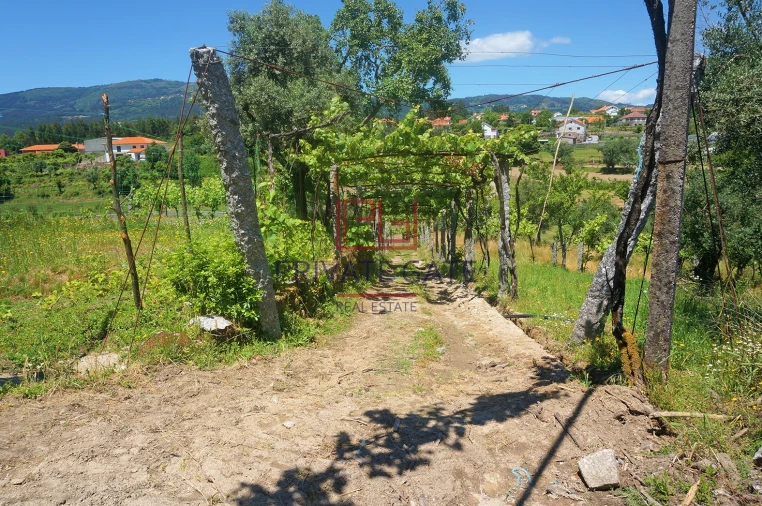 Quinta T0 para Venda em Gemieira Foto 18