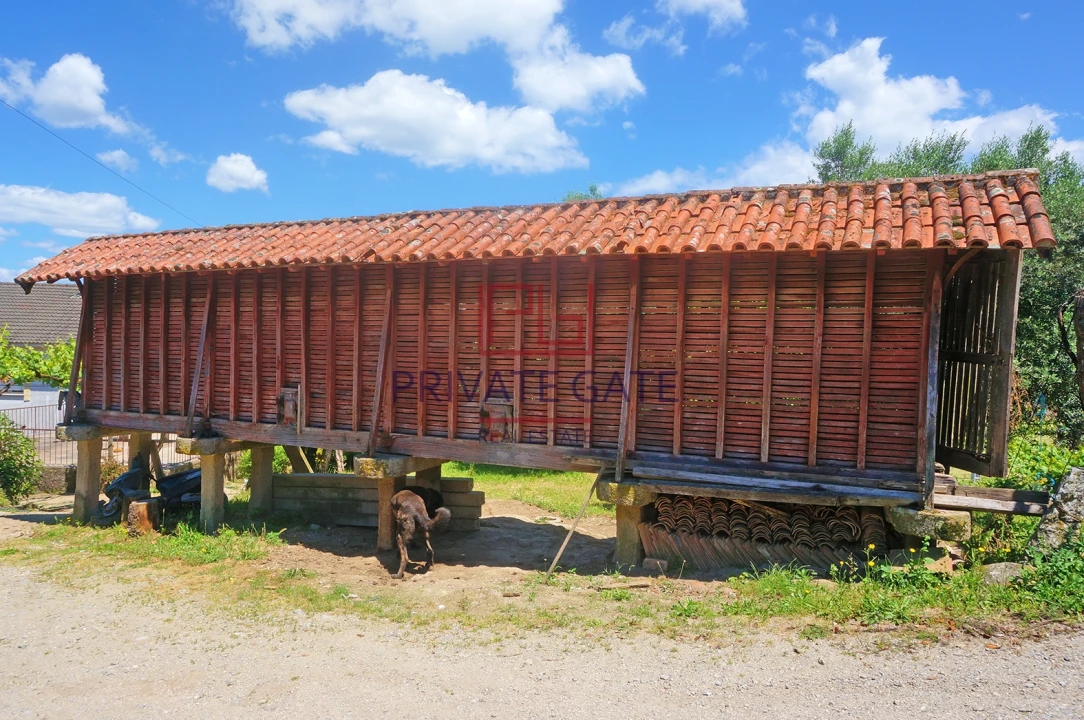 Quinta T0 para Venda em Gemieira Foto 36